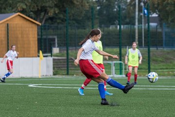Bild 51 - C-Juniorinnen HSV - Walddoerfer : Ergebnis: 9:1